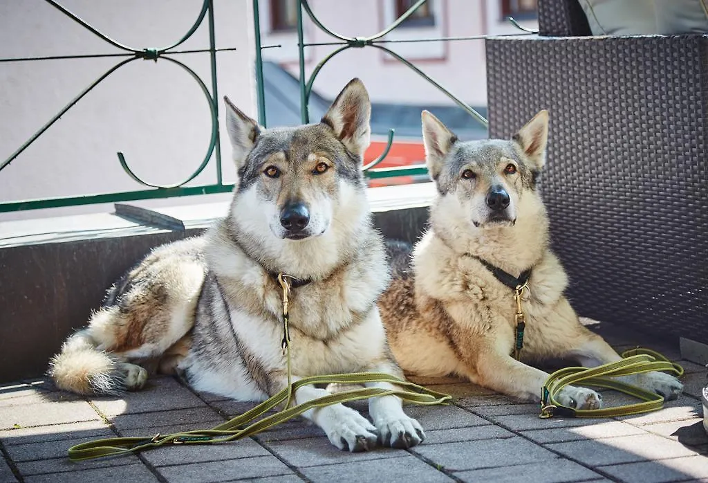 Hotel Wechselberger Saalbach-Hinterglemm